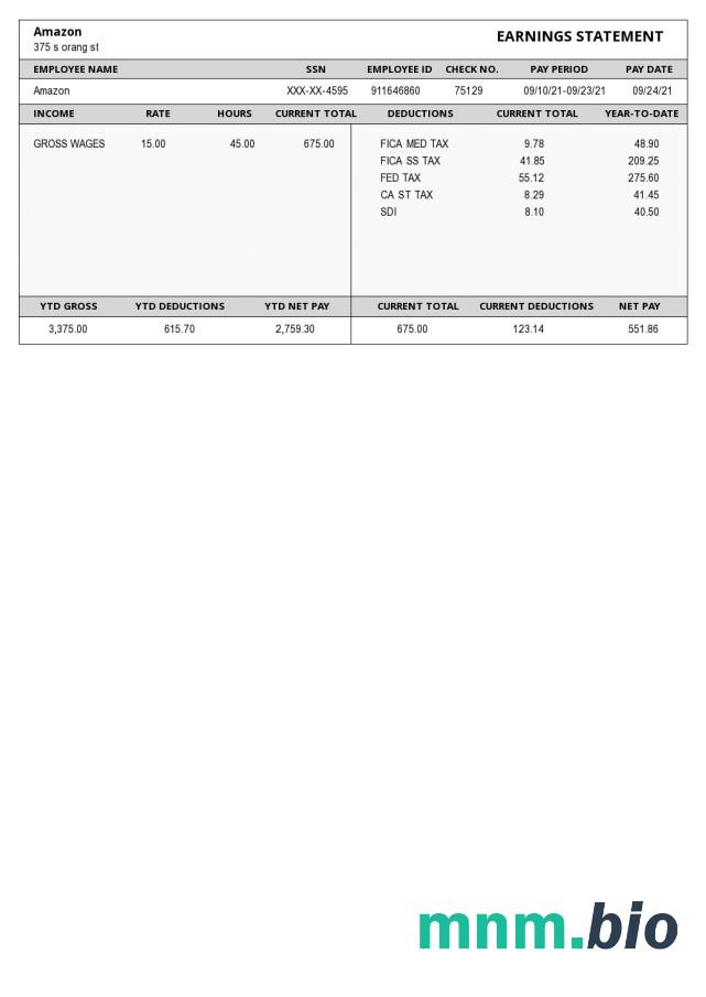 Szablon Amazon paystub w formatach Word i PDF